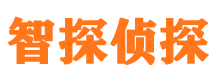 绥化市私家侦探